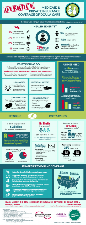 Final_Doula-Brief-Infographic-Image